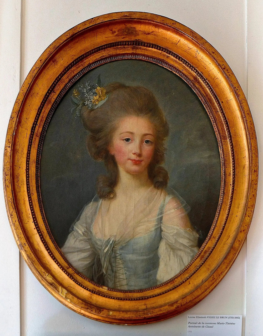Portrait de Madame du Cluzel - Élisabeth Vigée Le Brun - Alpha Reproduction
