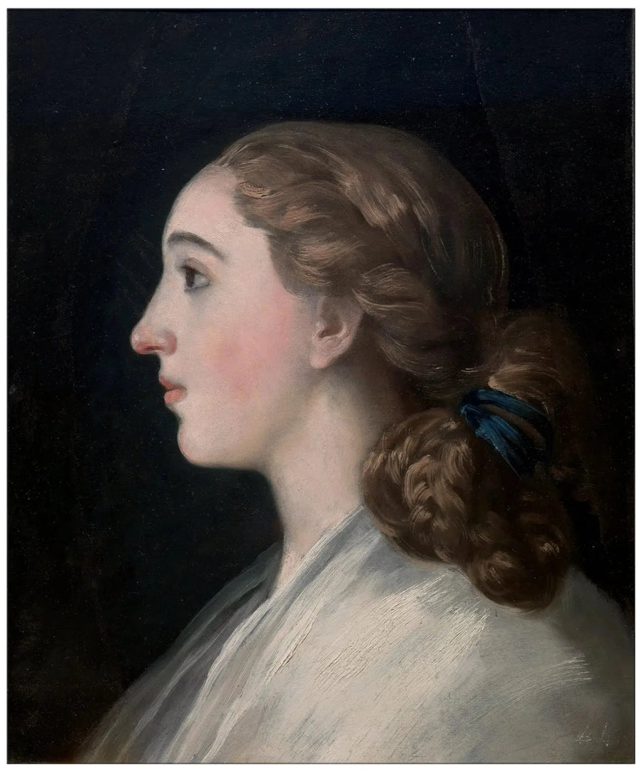 María Teresa de Vallabriga - Francisco de Goya muotokuva