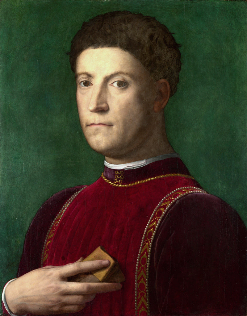 Piero de' Medici - Bronzino - Muotokuva