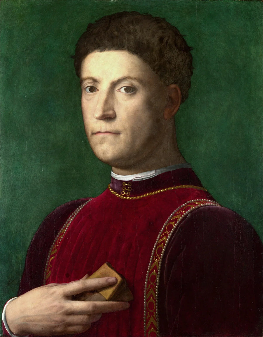 Piero de' Medici - Bronzino - Muotokuva