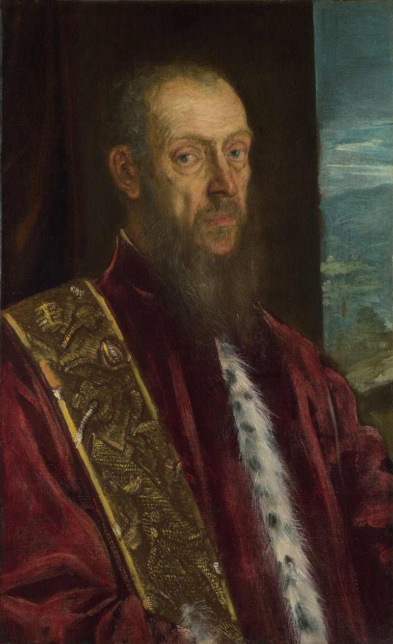 Vincenzo Morosinin muotokuva - Jacopo Tintoretto
