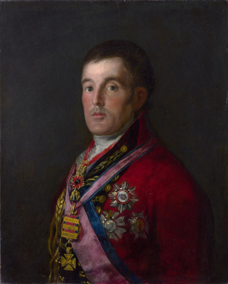 Wellingtonin herttuan muotokuva - Francisco de Goya