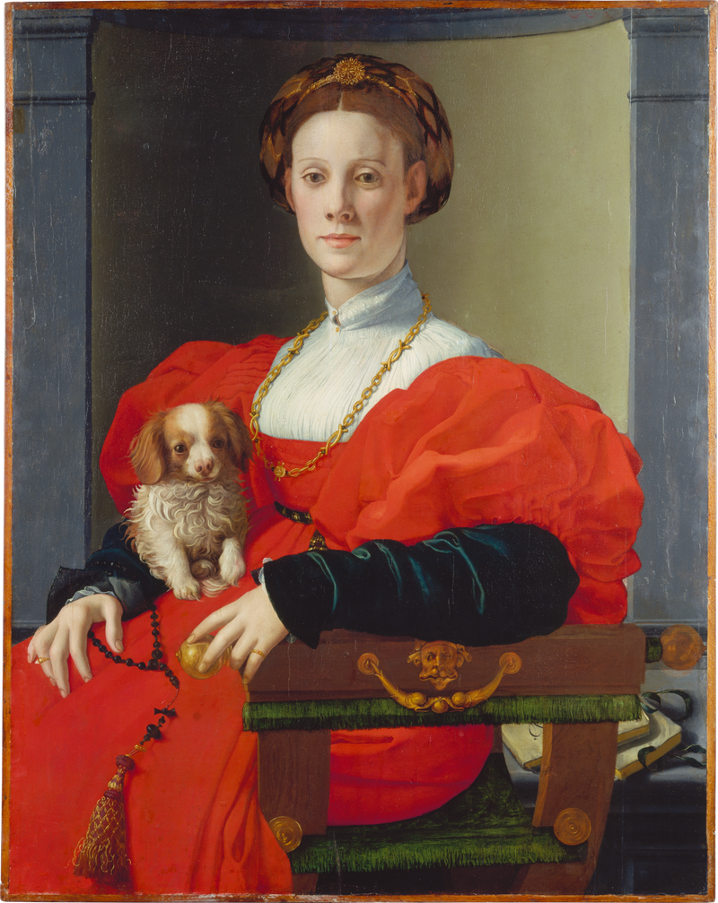 Naisen muotokuva lemmikkieläimen kanssa - Bronzino