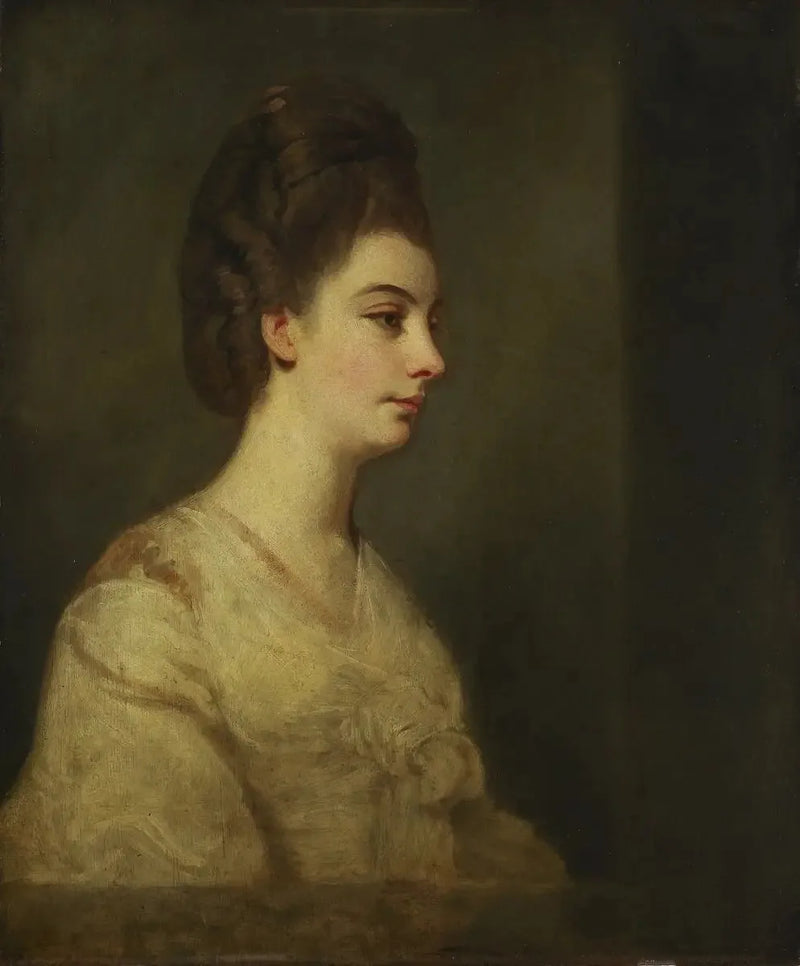 Epävalmis muotokuva tuntemattomasta naisesta - Joshua Reynolds