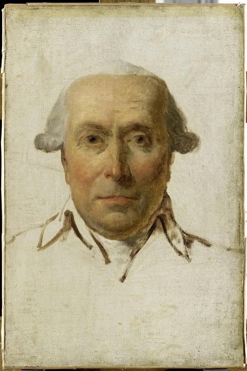 Oletettu muotokuva Le Goazre de Kervéléganista - Jacques-Louis David