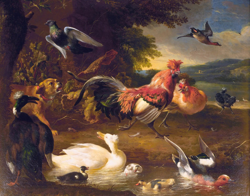Kyyhkyt ja ankka - Melchior de Hondecoeter