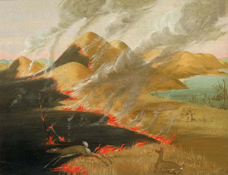 Prairie Bluffs tulessa - George Catlin