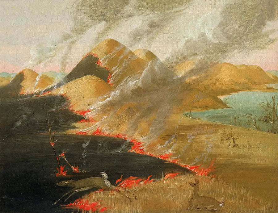 Prairie Bluffs tulessa - George Catlin