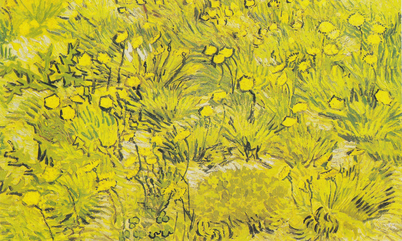 Keltakukkainen niitty - Vincent van Gogh