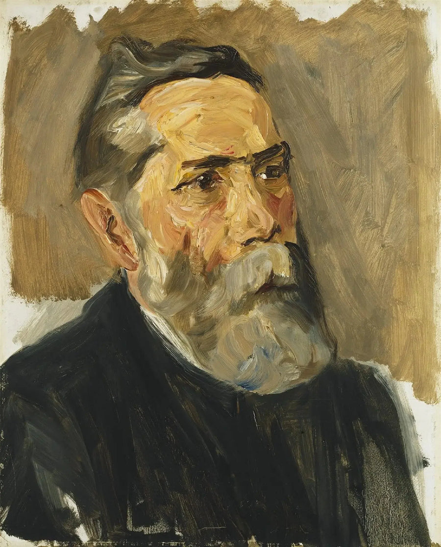 Professori August Voller - Max Liebermann