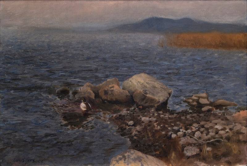 Kivinen niemimaa - Bruno Liljefors