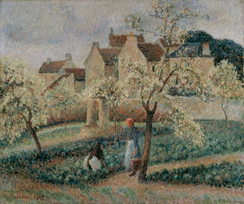 Kirsikkapuut kukassa, Pontoise - Camille Pissarro