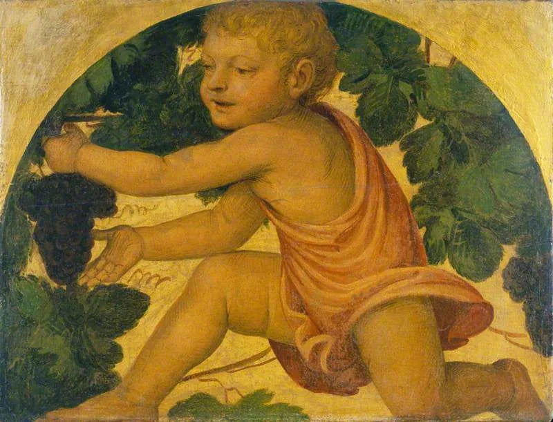 Putto poimimassa viinirypäleitä - Bernardino Luini