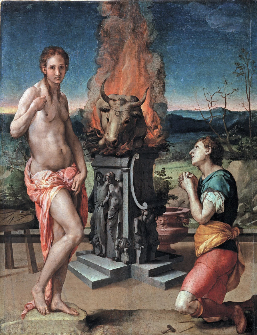 Pygmalion ja Galatea - Bronzino
