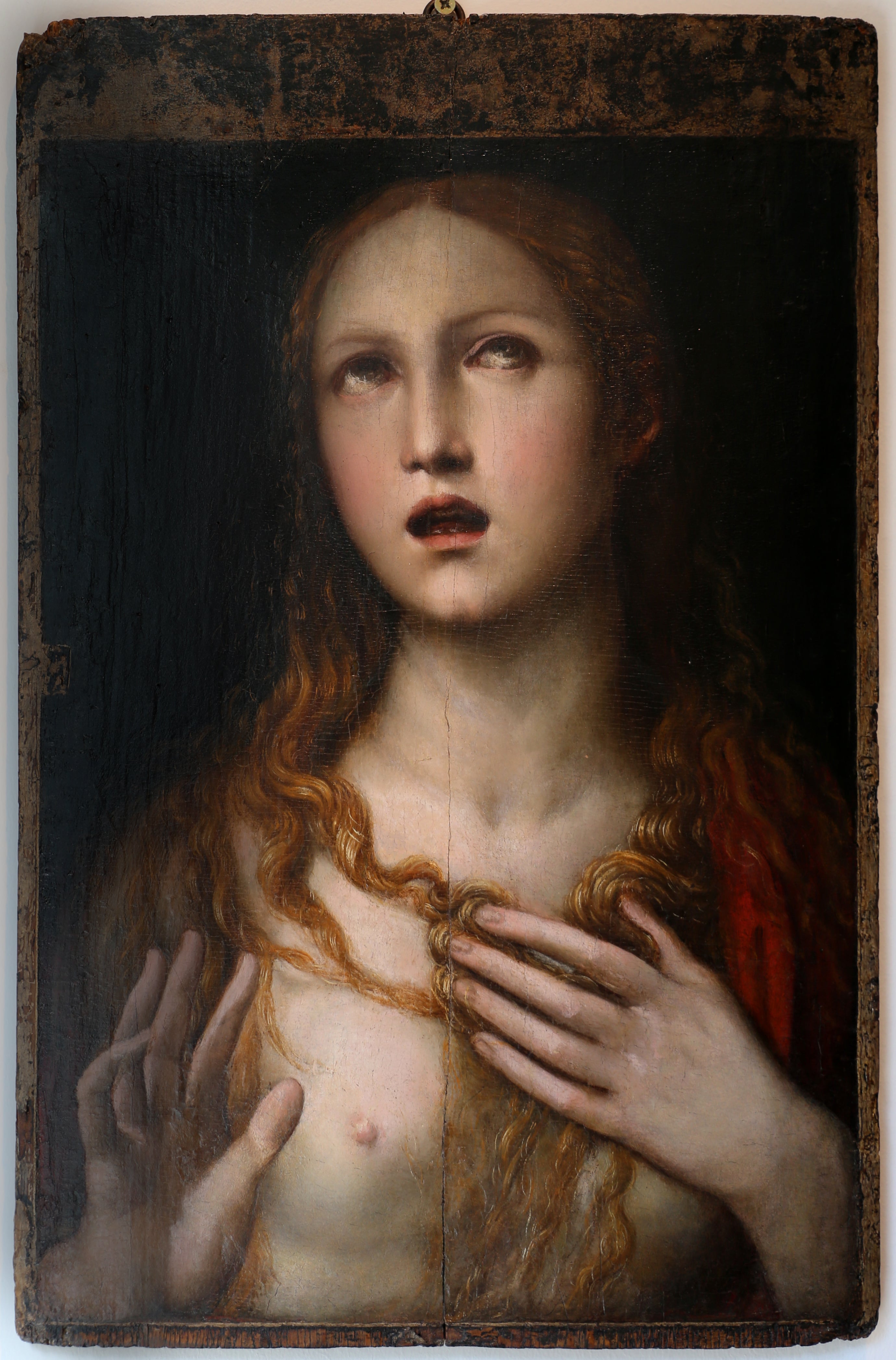 Q117777120 - Il Sodoma (Giovanni Antonio Bazzi) - Alpha Reproduction