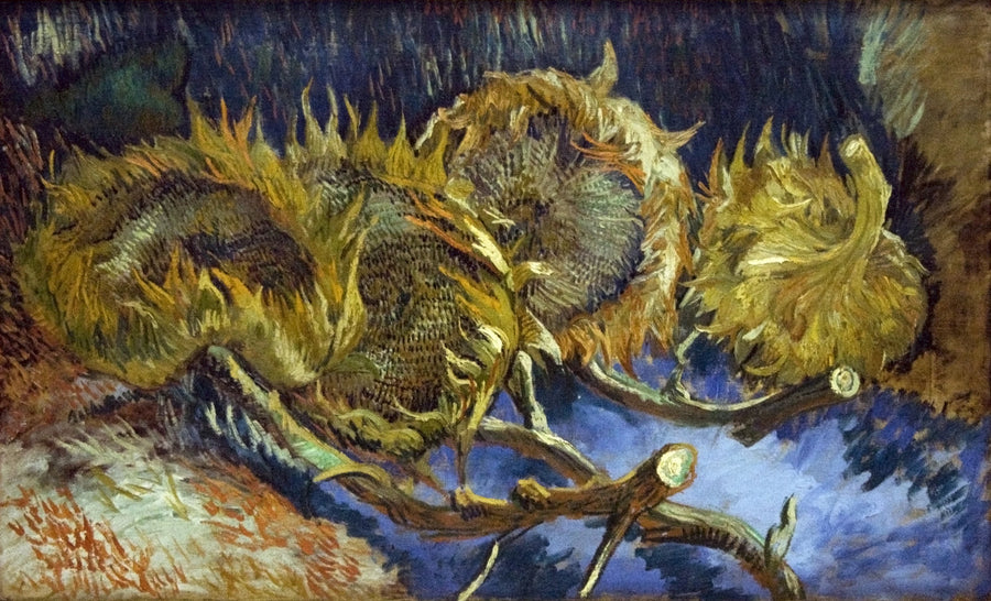 Neljä kuihtunutta auringonkukkaa - Vincent van Gogh