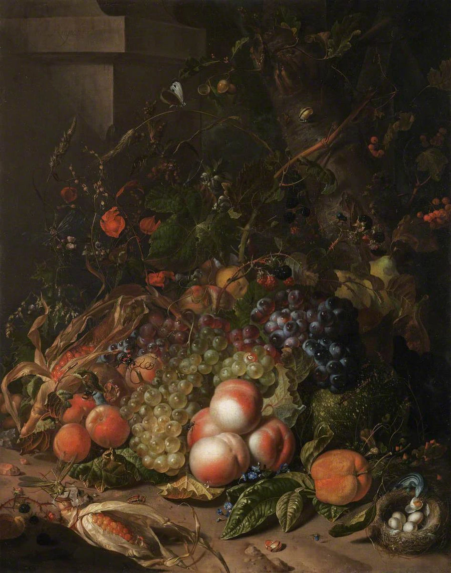 Fruits, nid d’oiseau et insectes - Rachel Ruysch