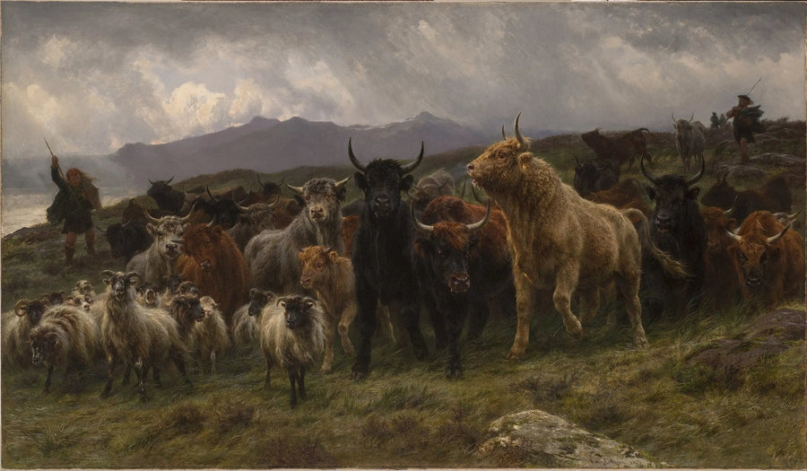 Highland Race - Rosa Bonheur