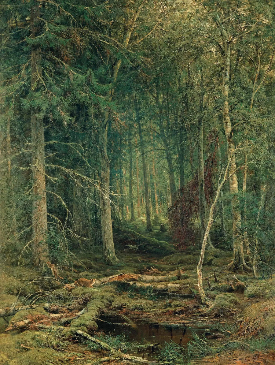 Maanviljelysalueen metsäalue - Ivan Chichkine