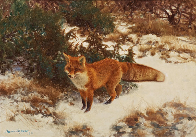 Kettu talvimetsässä - Bruno Liljefors
