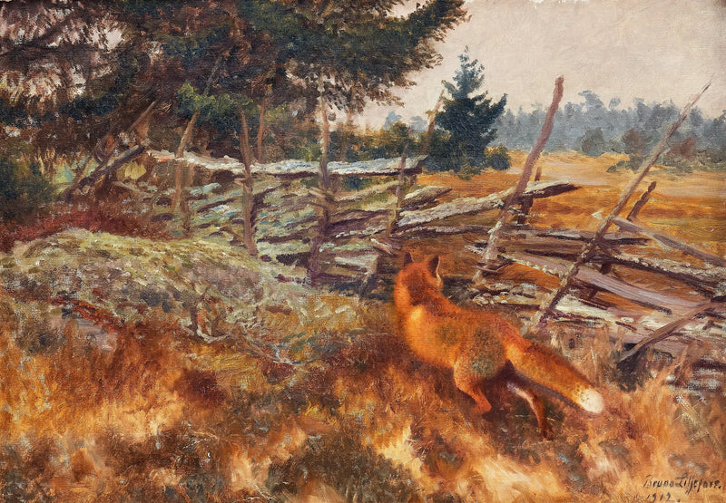 Kettu pyöreän aidan lähellä - Bruno Liljefors