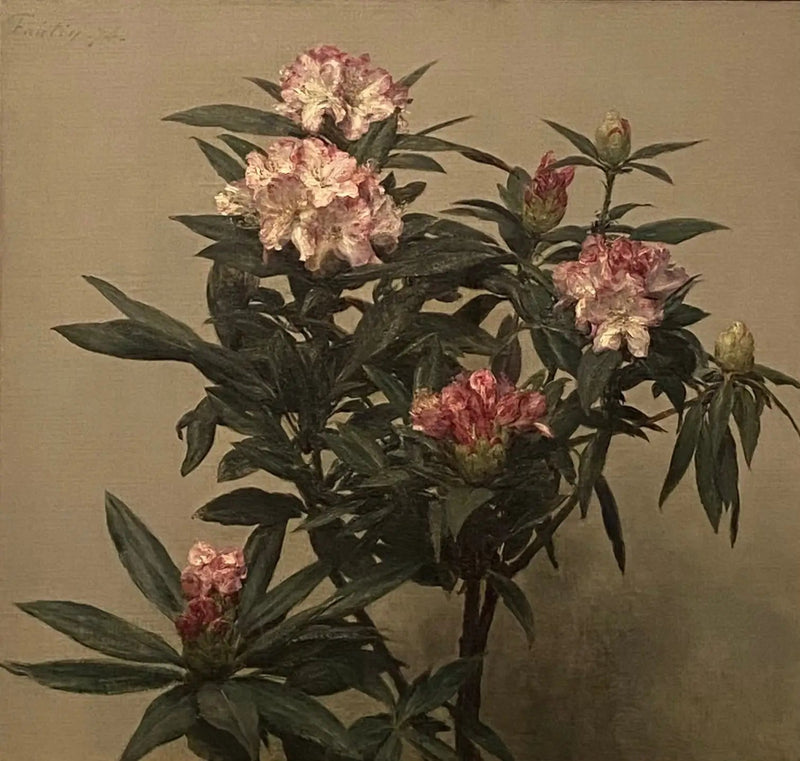 Rhododendronit - Henri Fantin-Latour