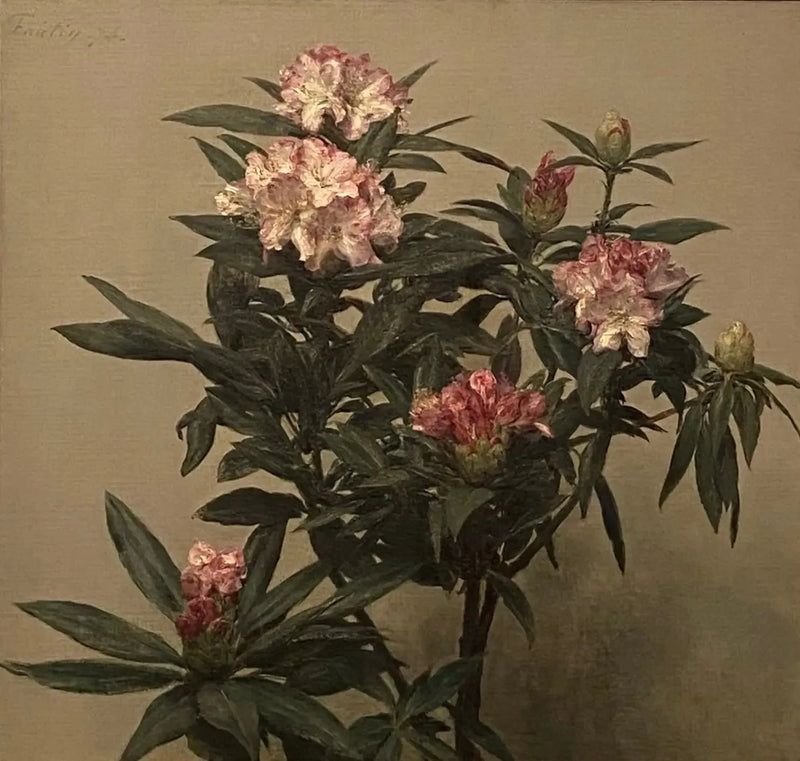 Rhododendronit - Henri Fantin-Latour