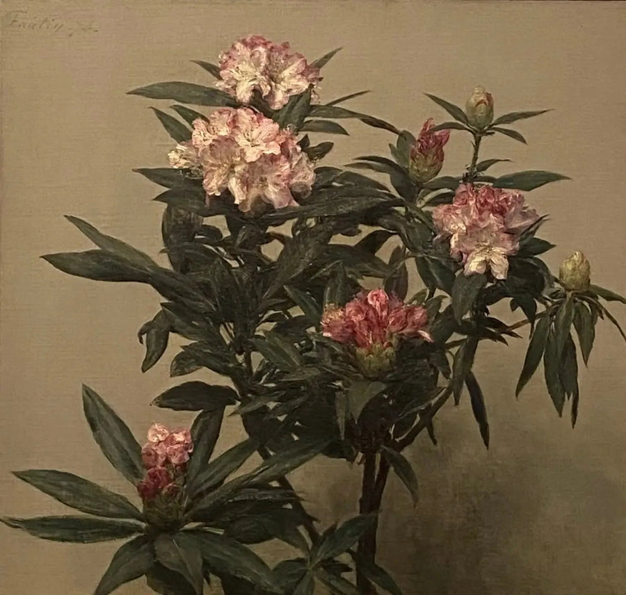 Rhododendronit - Henri Fantin-Latour