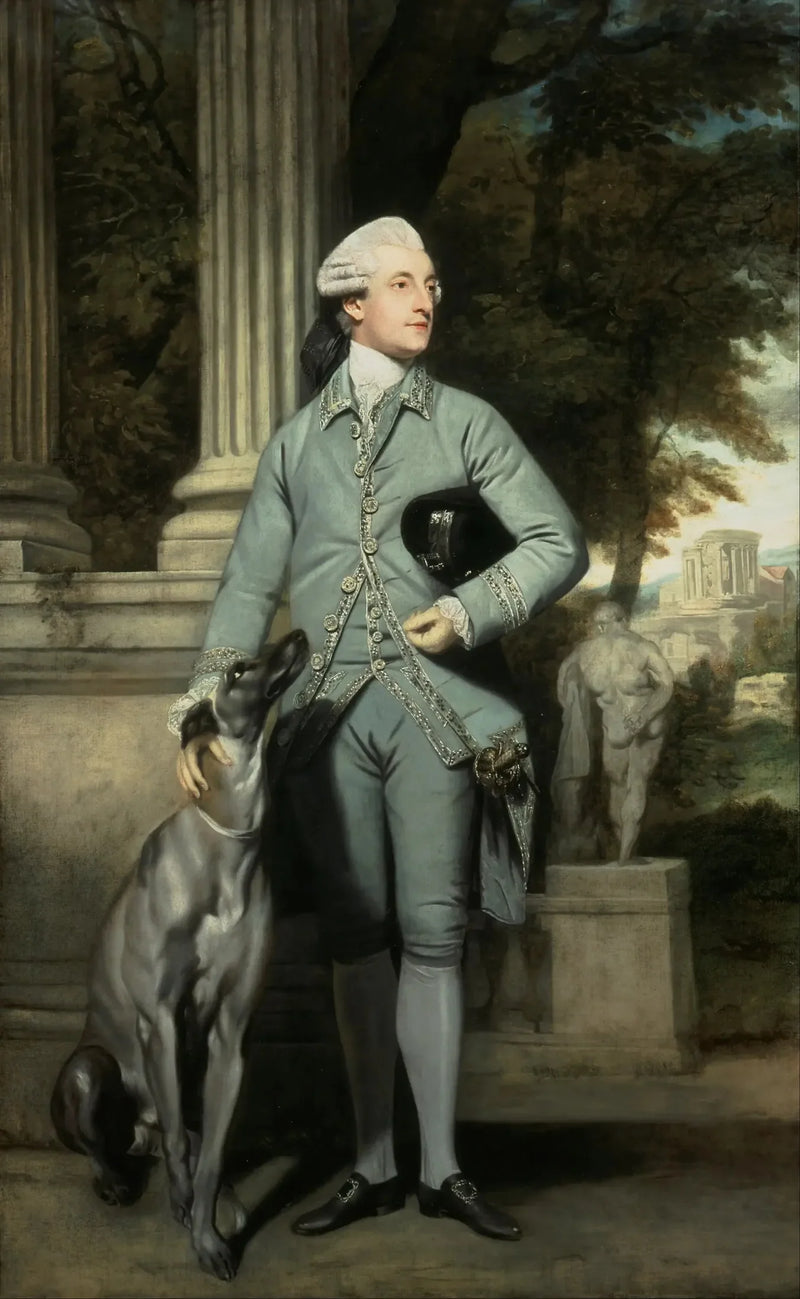 Richard Peers Symons, kansanedustaja (myöhemmin baronetti) - Joshua Reynolds