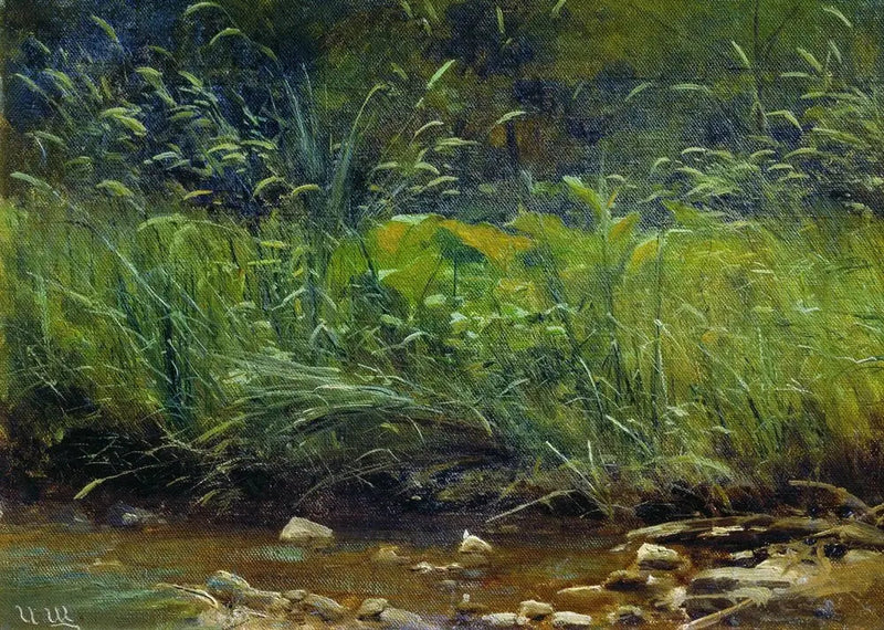 Rivi de l'étang - Ivan Chichkine