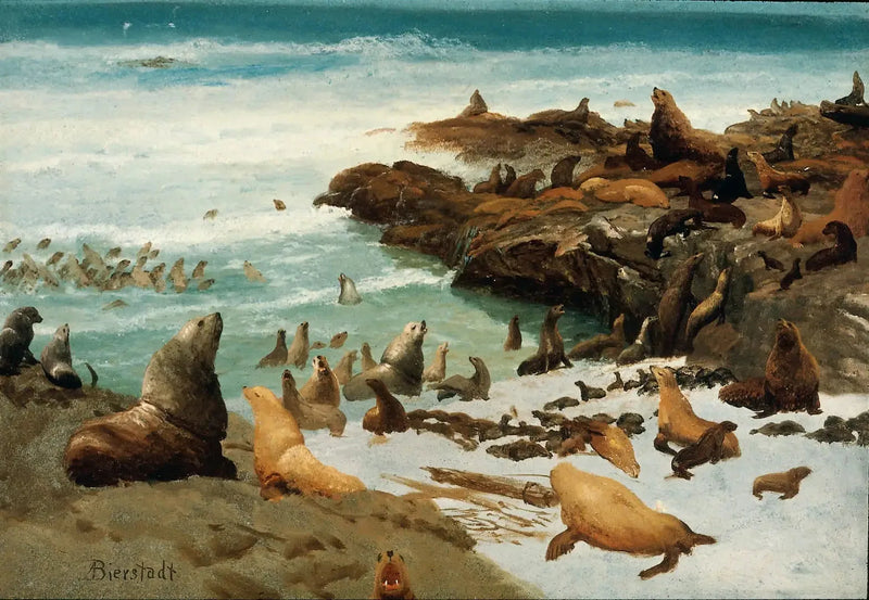 Hylkeetornit, Farallonit - Albert Bierstadt