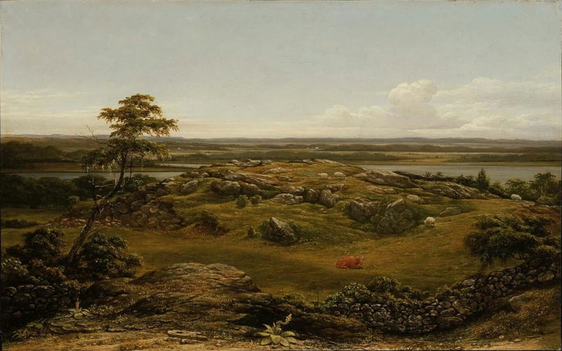 Rochers en Nouvelle-Angleterre - Martin Johnson Heade