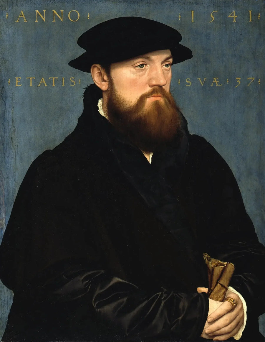 Roelof de Vos van Steenwijk - Hans Holbein nuorempi