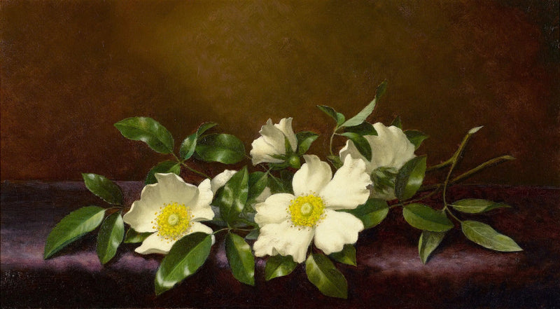 Ruusut Cherokee violetilla kankaalla - Martin Johnson Heade
