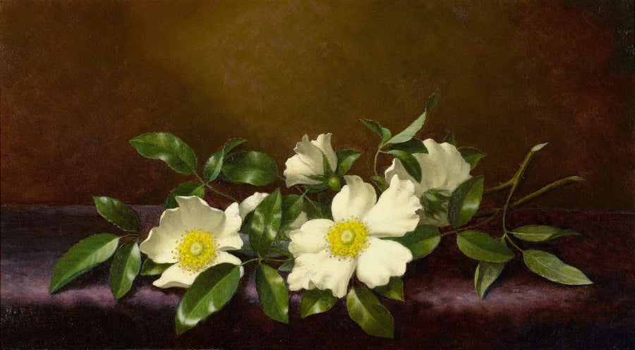 Ruusut Cherokee violetilla kankaalla - Martin Johnson Heade