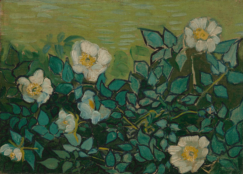 Villiruusut - Vincent van Gogh