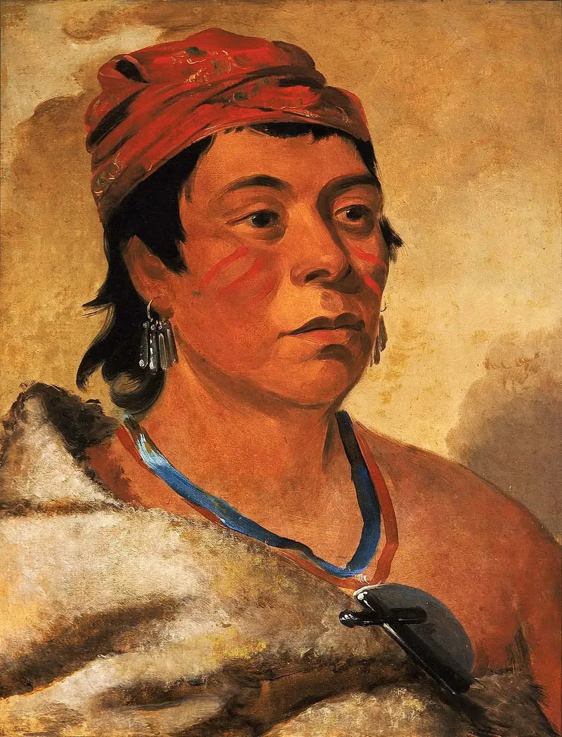 Pyöreä saari, soturi - George Catlin