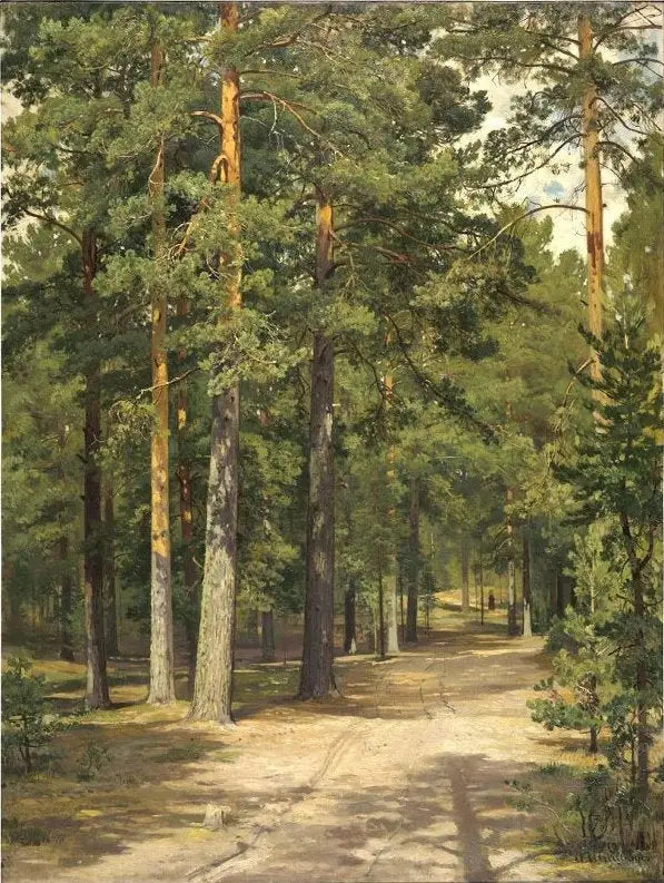 Reitti mäntymetsässä - Ivan Chichkine