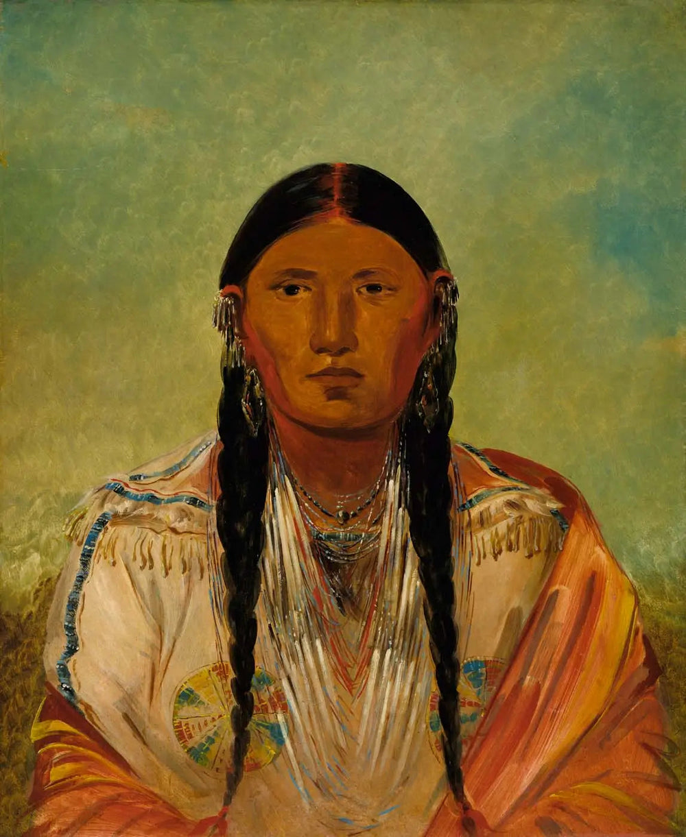 Ru-ton-wee-me, Pigeon sur l'aile - George Catlin image 1 reproduction réalisée par Alpha Reproduction