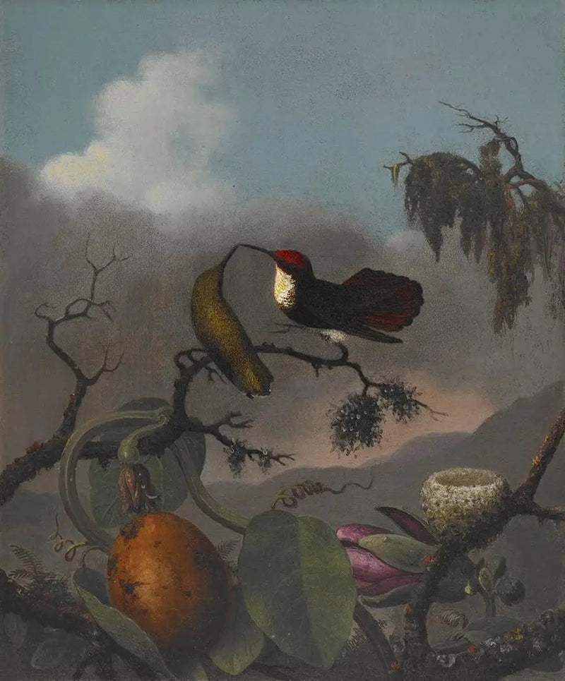 Rubis-Topaasi - Martin Johnson Heade