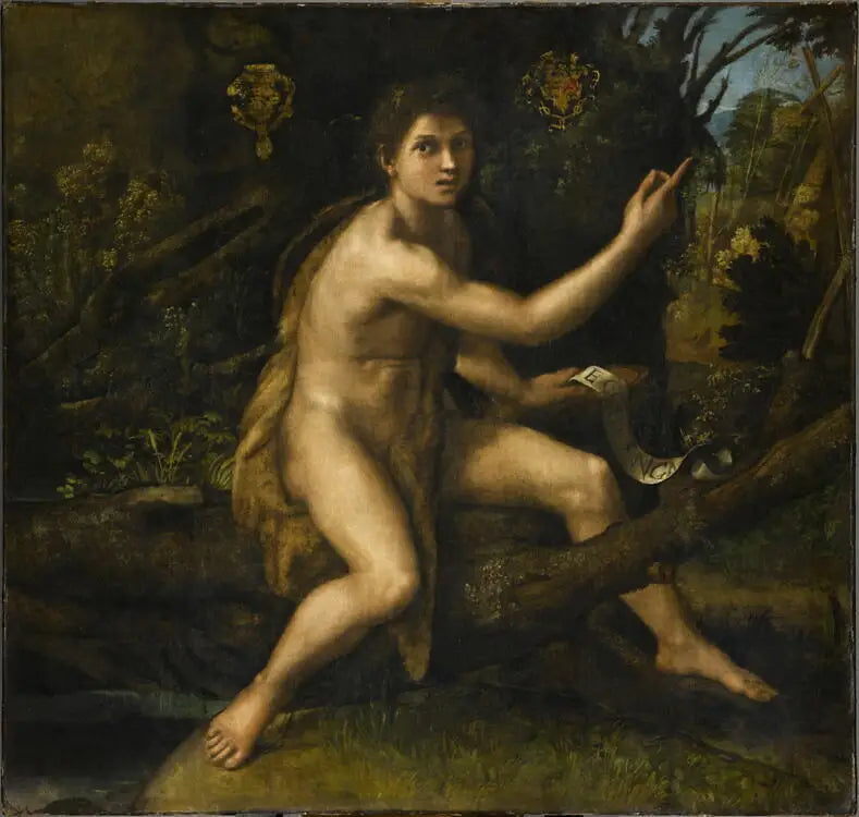 Pyhä Johannes Kastaja autiomaassa - Raphael Sanzio
