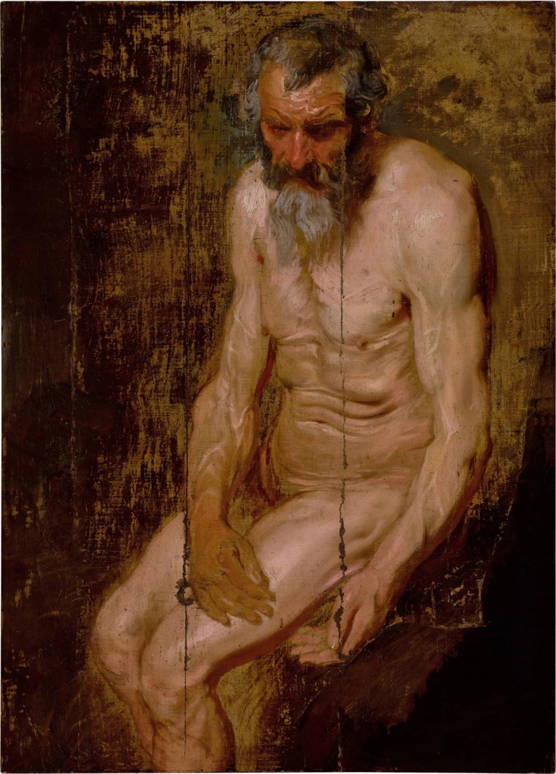 Pyhä Jérôme - Antoine van Dyck