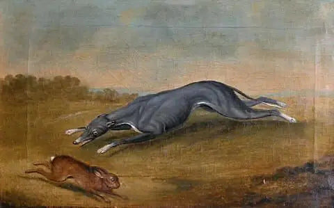 Nimettömän (Koira metsästämässä jänistä) - George Stubbs