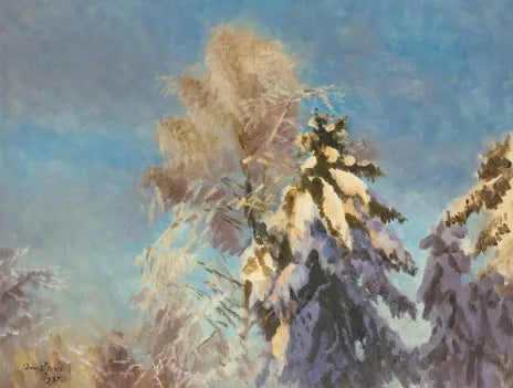Lumiset kuusipuut - Bruno Liljefors