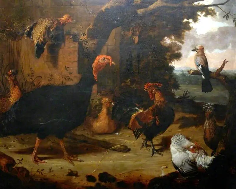 Maatilamaisema, musta kalkkuna - Melchior de Hondecoeter