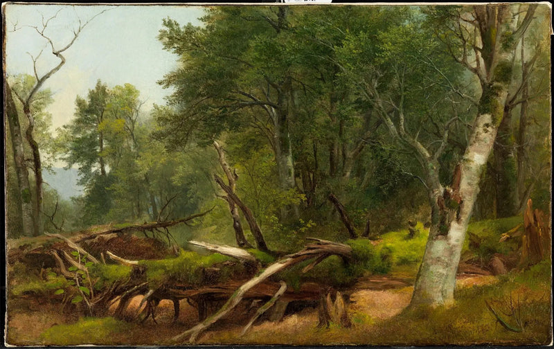 Metsänäkymä Catskillsissa - Asher Brown Durand