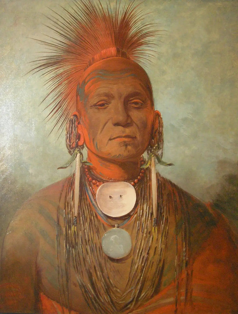 See-non-ty-a, parantaja Iowasta - George Catlin