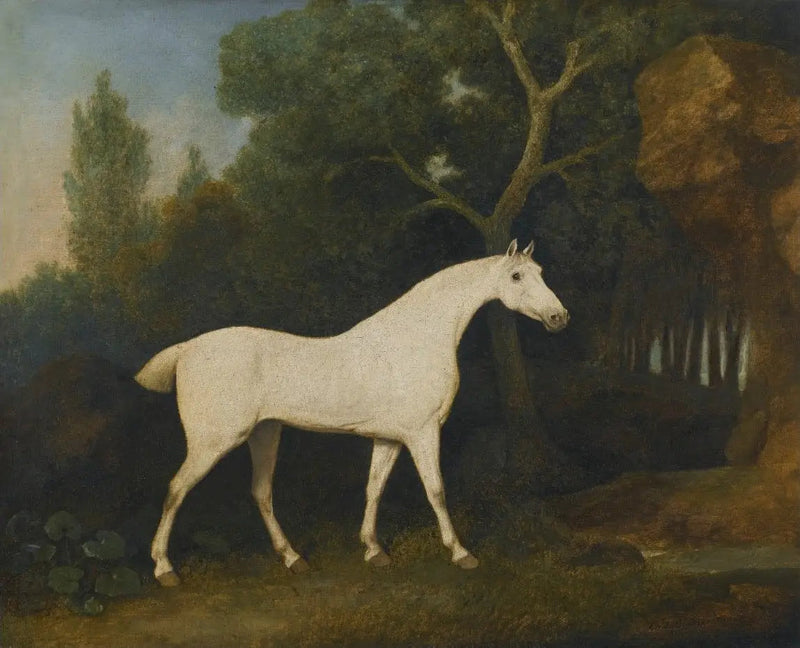Selim, harmaa metsästäjä häkissä - George Stubbs