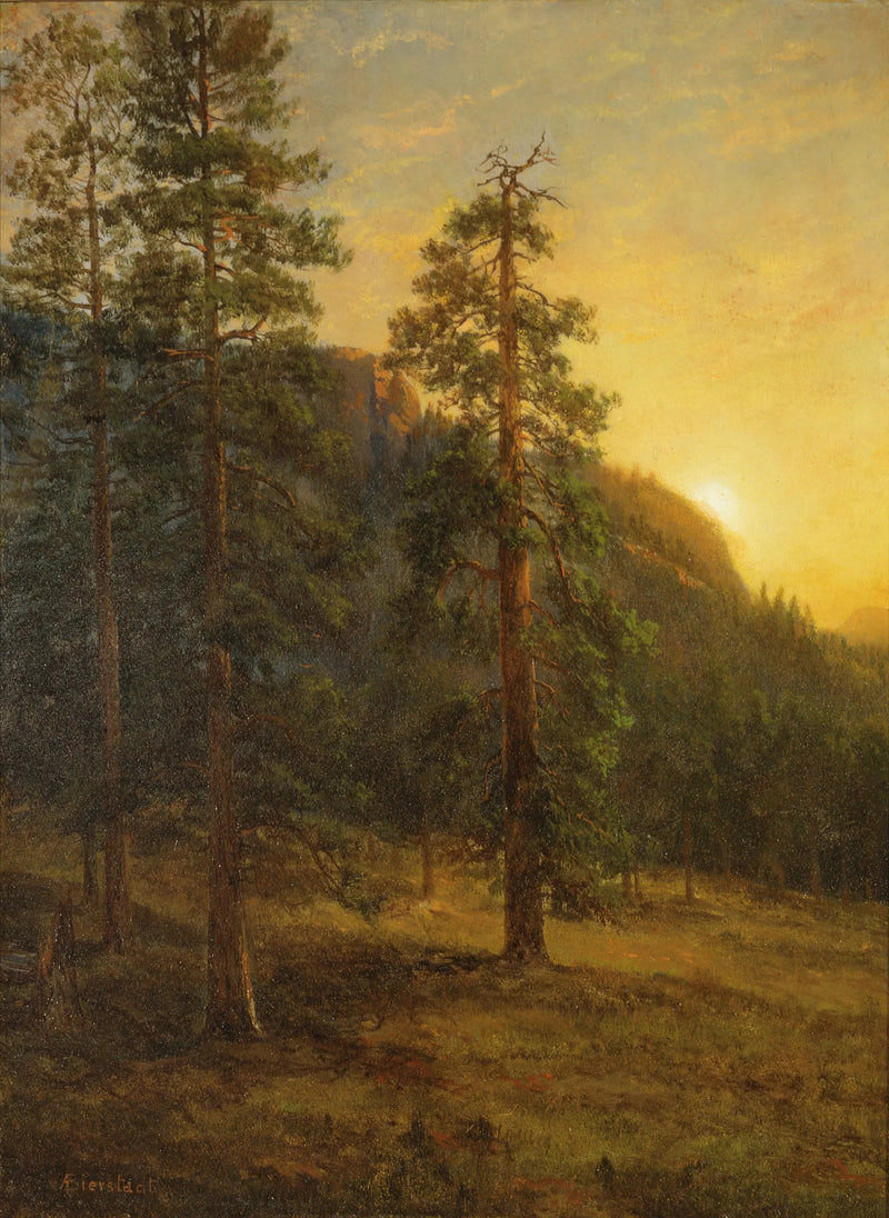 Kalifornian sekvoja - Albert Bierstadt