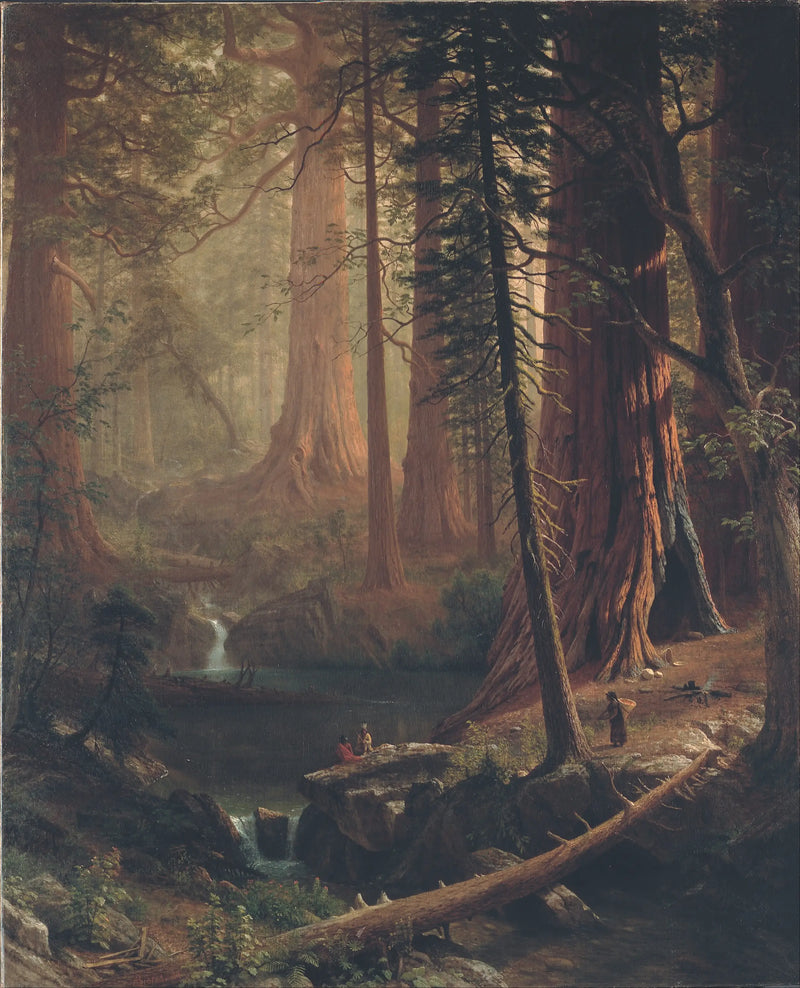 Kalifornian jättiläis-setsuajat - Albert Bierstadt